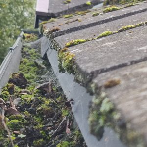 Gutter cleaning experts