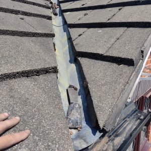Gutter cleaning and clearing